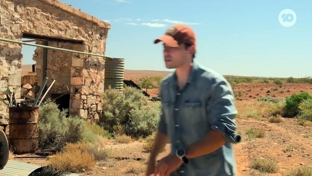 Neighbours 9099 21st August 2024