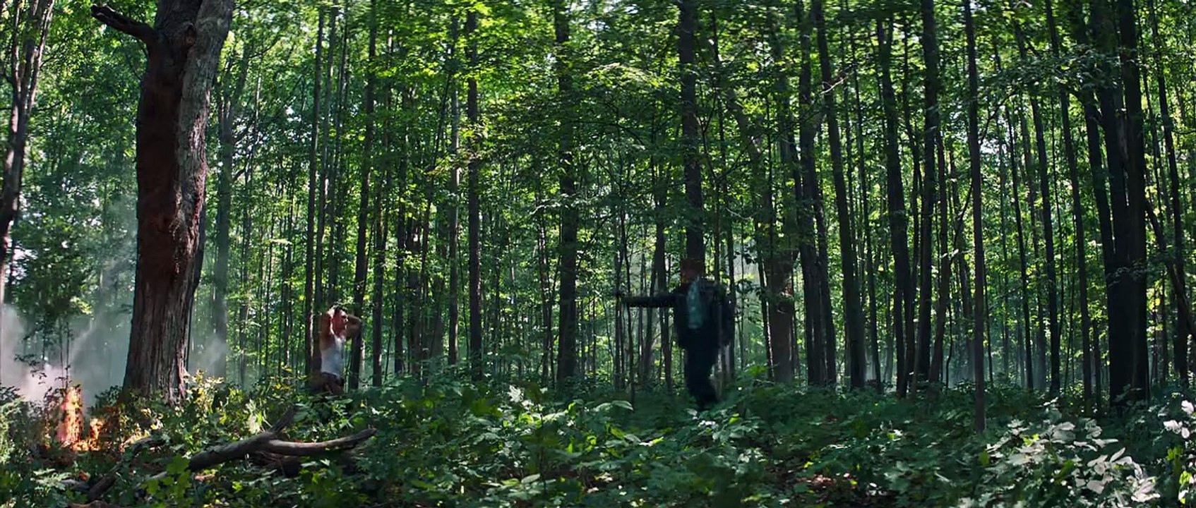 Wolf Hound - Luftschlacht über Frankreich (2022) stream deutsch anschauen