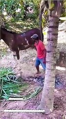 Broken style  in future day