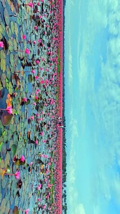 KERLA BEAUTIFUL LAKE VIEW 