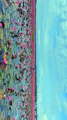 KERLA BEAUTIFUL LAKE VIEW 