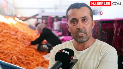 Havuç Üretiminde Teknoloji ile Kalite Artışı