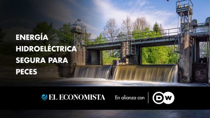 Energía hidroeléctrica segura para peces