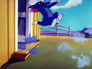 Tom and jerry posse cat leo the lion