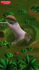 entertainment and cartoon for fids