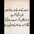 Informative videos#Urdu quotes