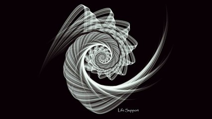 Sean Ferree - Life Support (Official Music Video)