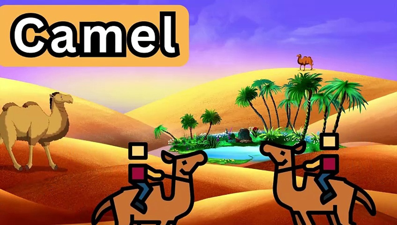 ABC Phonic Songs, ABC Camel Song, ABC Animal Song, ABC Song