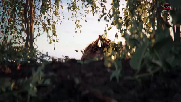 Memoriapolis Gameplay Trailer - Future Games Show Gamescom 2024