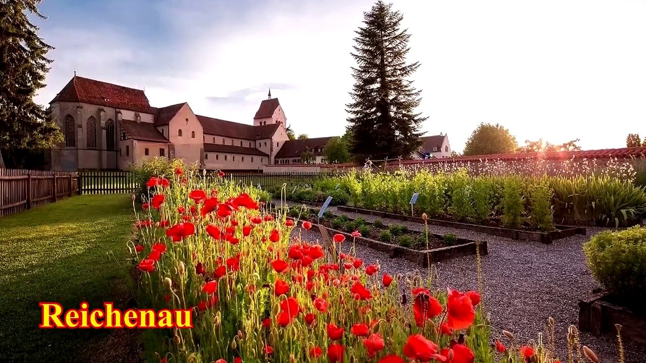 Homilia 5af 20 STC - NOSSA SENHORA: HISTÓRIA DA SALVE RAINHA