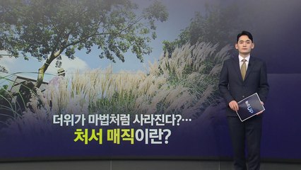 더위가 마법처럼 사라진다?...'처서 매직'이란? [앵커리포트] / YTN