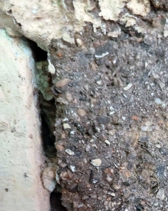 |HABIB ARIEL CORIAT HARRAR | ECONOMÍA CIRCULAR (PARTE 2) (@HABIBARIELC)