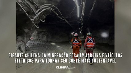 Gigante chilena da mineração foca em jardins e veículos elétricos para tornar seu cobre mais sustentável