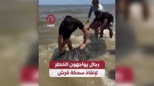 رجال يواجهون الخطر لإنقاذ سمكة قرش