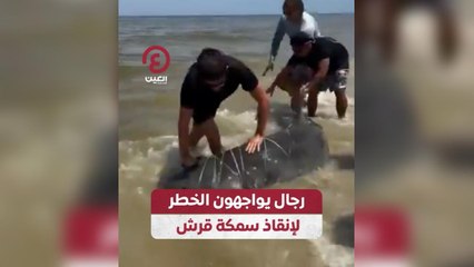 رجال يواجهون الخطر لإنقاذ سمكة قرش