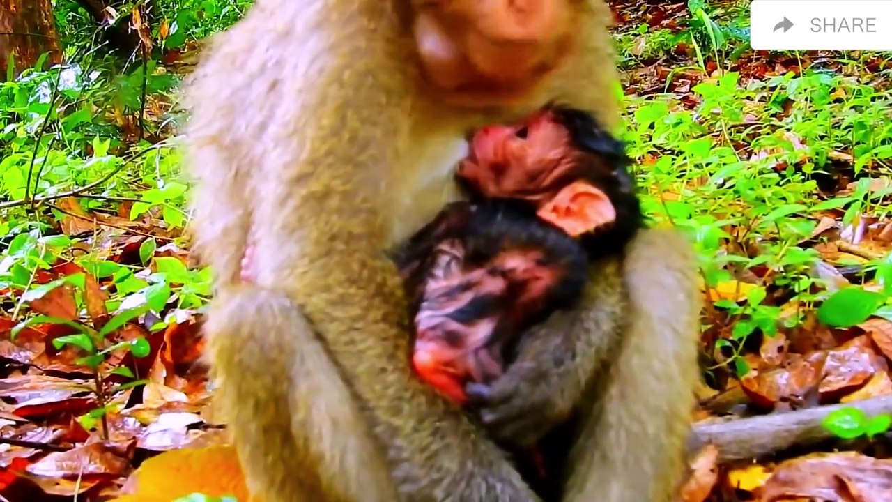 Birth new for newborn babies is so cute and congratulations mother giving