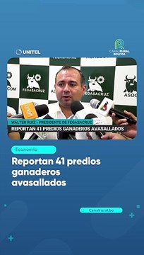Reportan 41 predios ganaderos avasallados