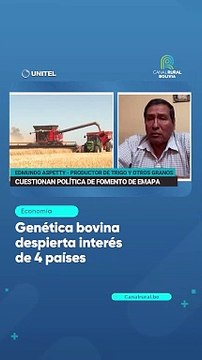 Genética bovina despierta interés de 4 países