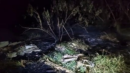 Cascavel em chamas: nove incêndios em vegetação foram registrados nesta quarta-feira
