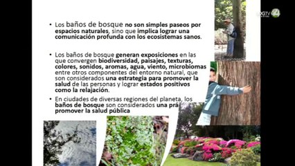 ¿Los "baños de bosque" previenen muertes prematuras? UdeG abre diplomado al respecto