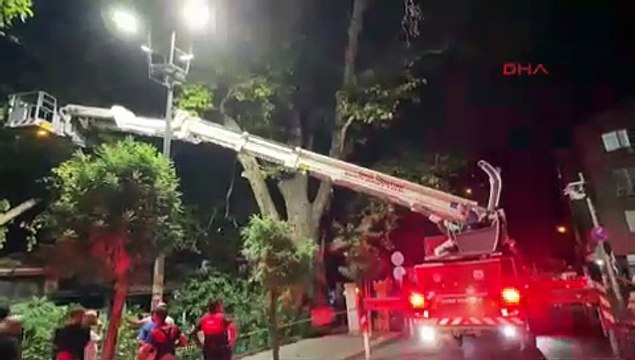 Asırlık çınar ağacının dalları kopup kahvehanede oturanların üzerine düştü: 9 yaralı