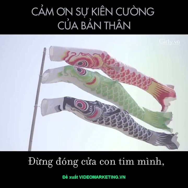 Cảm ơn sự kiên cường của bản thân