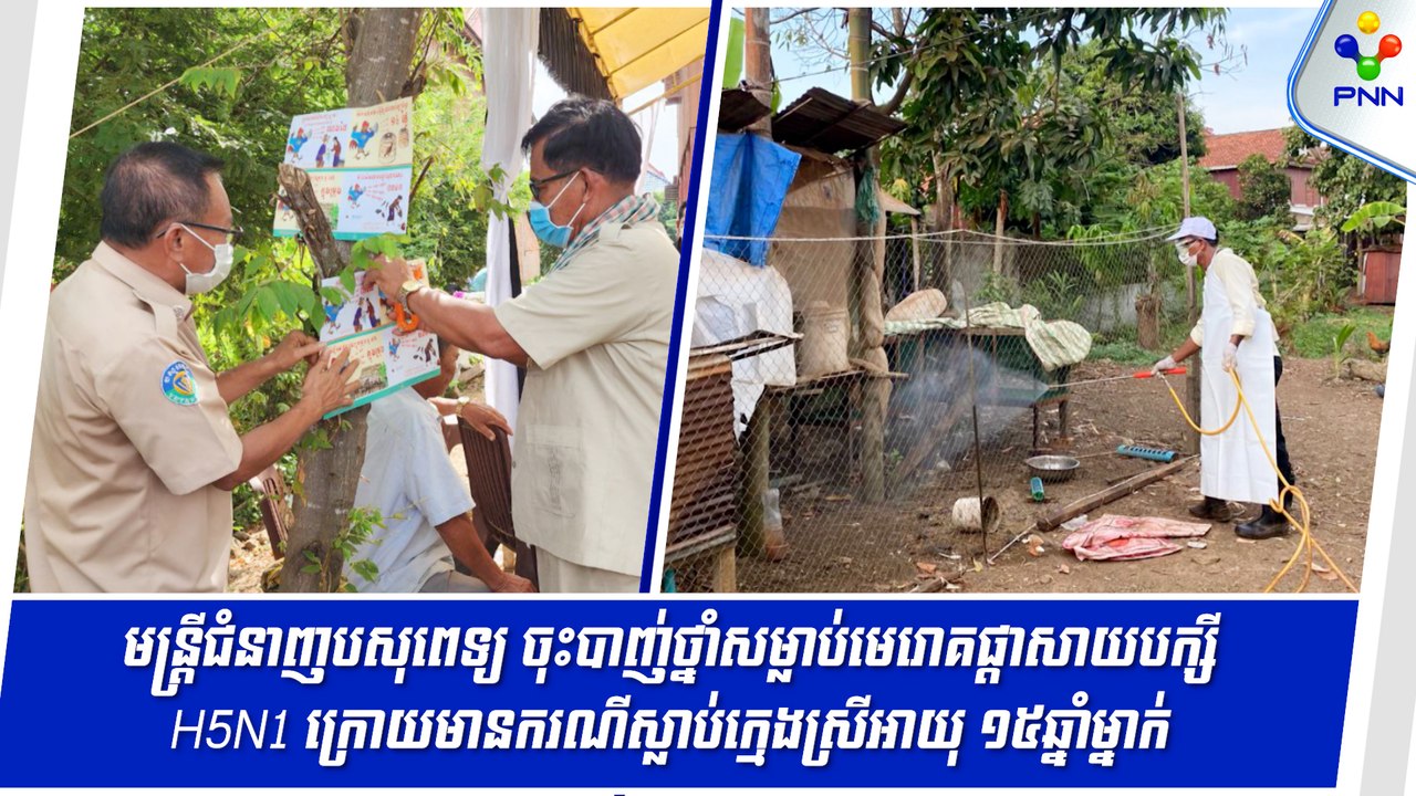 [22-08-24] មន្ត្រីជំនាញបសុពេទ្យ ចុះបាញ់ថ្នាំសម្លាប់មេរោគផ្តាសាយបក្សី H5N1 ក្រោយមានករណីស្លាប់ក្មេងស្រីអាយុ ១៥ឆ្នាំម្នាក់