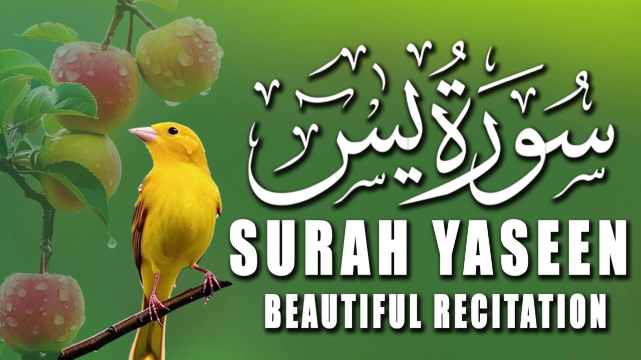 Surah Yaseen (Yasin) World Most Beautiful Recitation with Unbelievable Voice  |Tilawat E Quran | Al Quran