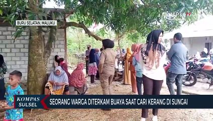 下载视频: Seorang Warga Diterkam Buaya Saat Cari Kerang Di Sungai