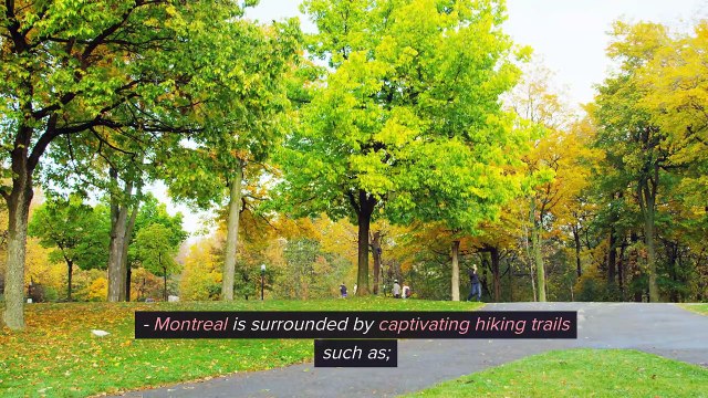 What Outdoor Adventures Await Young Adults in Montreal's Surrounding Nature
