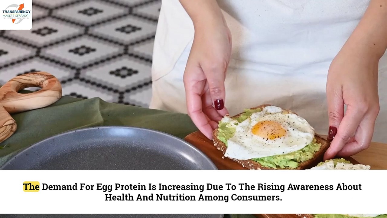 Egg Protein Market
