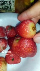 Comiendo #Fresas #Congeladas #frutos Rojos De San Quintin Baja California Estan Bien #Dulces Ricas