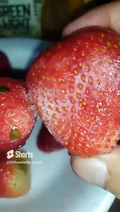 Comiendo #Fresas #congeladas bien #Dulces son de san quintin baja california solo falto la crema