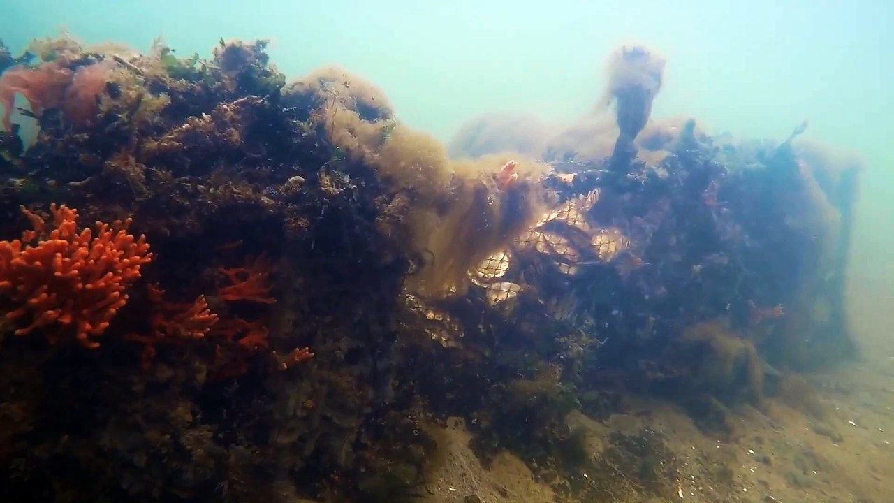 Holding Back The Tide Trailer OV