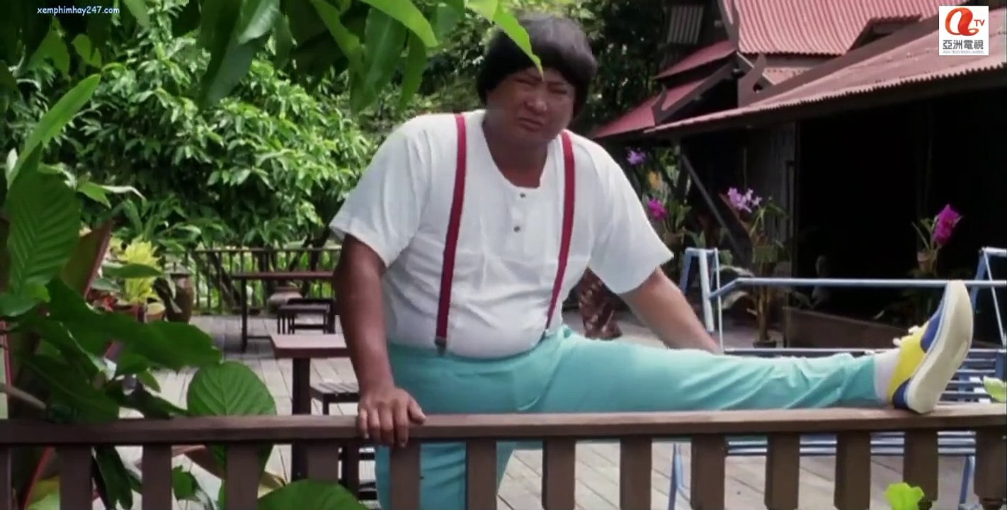 Những Ngôi Sao May Mắn / Ngôi Sao May Mắn 2 - Twinkle Twinkle Lucky Stars / My Lucky Stars 2 (1985) - LT & VS