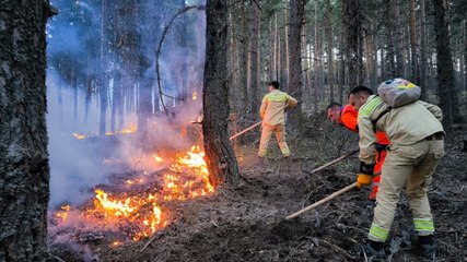 Ankara'dan Bolu'ya sıçrayan yangın ikinci gününde sürüyor