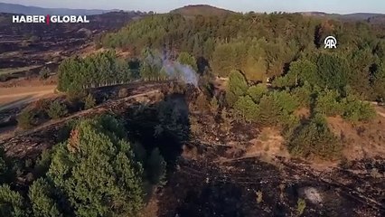Bolu Gerede'de yanan ormanlık alan havadan görüntülendi