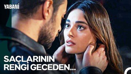 Dayanamam Sana Ben, Tutuşur Kül Olurum... - Yabani