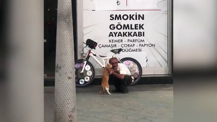 Sakarya'da bir vatandaş, yolda karşılaştığı kedi ile roman havası oynadı