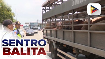 下载视频: D.A. at ilang grupo ng hog producers, tiniyak na ligtas kumain ng karne ng baboy; Biosecurity checkpoints vs. ASF, pinaiigting