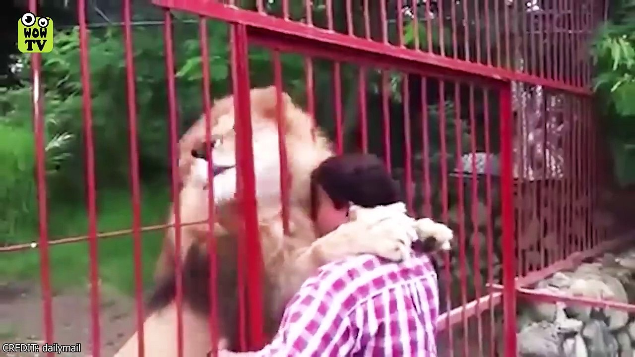 Animals Reunited With Owners After Years!