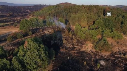 Bolu'daki yangın kontrol altına alındı! Felaketin bilançosu havadan görüntülendi