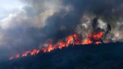 20 hektar alev alev yandı, 2 kişi gözaltında....