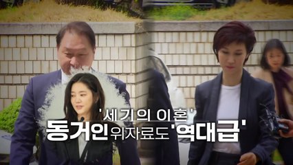 [영상] '세기의 이혼'...동거인 위자료도 '역대급' / YTN