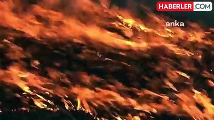 Orman Yangınında Hayvanları Kurtarmaya Çalışan Köylülerin Anları Kameraya Yansıdı