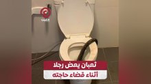 ثعبان يعض رجلا أثناء قضاء حاجته