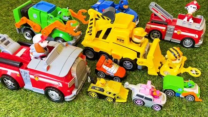 The little boy's favorite puppy Paw Patrol toy doll and Peppa Pig toy sliding on the grass