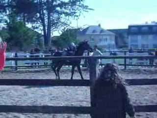 Débourage de rasta 2