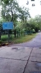 Hariyali aankho ko sukoon Dene Vali