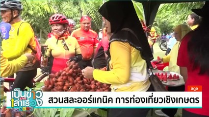 ทะเลหมอกมีชีวิต ภูค้อน้อยนาแห้ว | เป็นข่าวเล่าเรื่อง | 22 ส.ค. 67  | PART 2